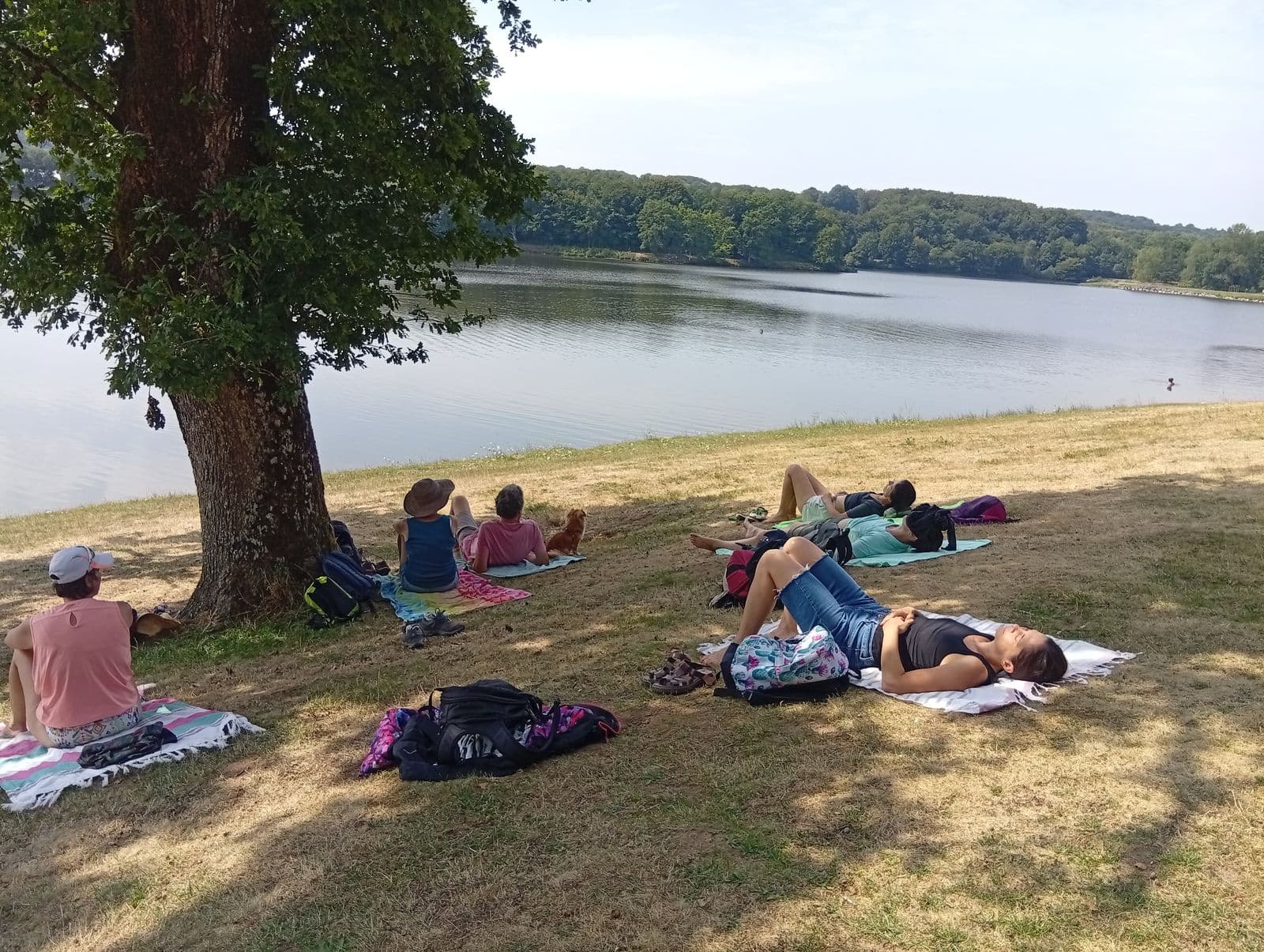 Le lac de Tolerme au fil d'une randonnée touristique